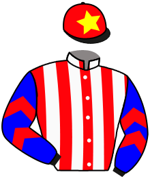 Casaque du n°11 — SPICY SPANGLE