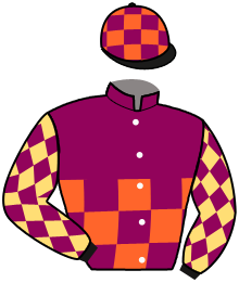Casaque du n°12 — SOLAR RIVER