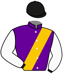 Casaque du n°8 — DIRIYA