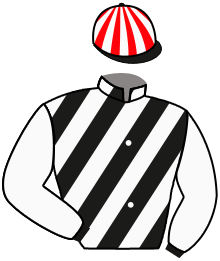 Casaque du n°9 — RUNJEET