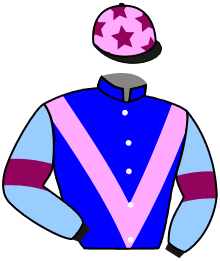 Casaque du n°10 — LEGEND STAR