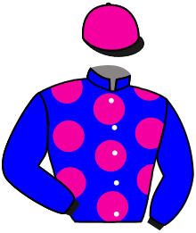 Casaque du n°12 — TACTICAL COMMAND