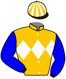 Casaque du n°10 — STAR BROSE