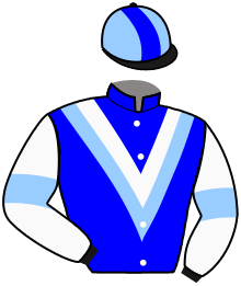 Casaque du n°6 — ROSEWOOD FLEETFOOT