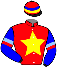 Casaque du n°1 — FRIENDS OF SHAJING
