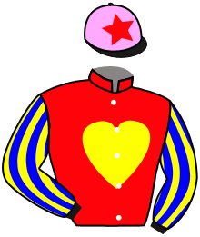 Casaque du n°9 — STAR OF HEARTS