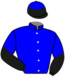 Casaque du n°1 — DAZZLING FIT