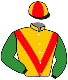 Casaque du n°5 — HIGHLAND RAHY