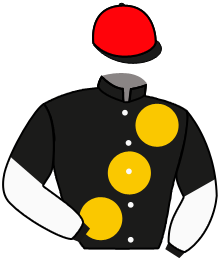Casaque du n°7 — EMBRACES