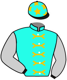 Casaque du n°9 — ALL ROUND WINNER