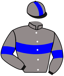 Casaque du n°3 — HORSEPOWER