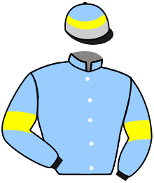 Casaque du n°7 — CASA OF HONOR