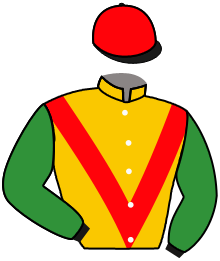 Casaque du n°1 — SPEED DRAGON