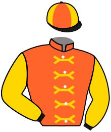 Casaque du n°11 — ARMOR GOLDEN EAGLE