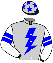 Casaque du n°7 — SILVERY BREEZE