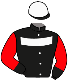 Casaque du n°1 — TANGELO LANE