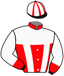 Casaque du n°10 — VECTOR S.F.