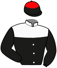Casaque du n°12 — NAPOLEON JOURNEY