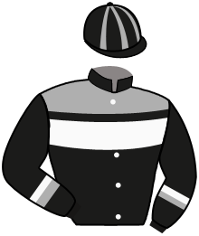 Casaque du n°3 — STYLISH JOG