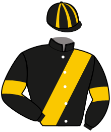 Casaque du n°2 — SPEEDY HARD VICANE
