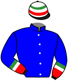 Casaque du n°3 — DONNARUMMA