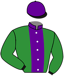 Casaque du n°12 — TREN DE LA QUINTA