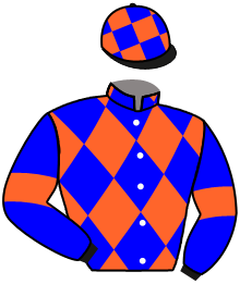 Casaque du n°15 — SENORA BERNI