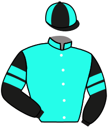 Casaque du n°16 — EL NEGRO TOMAS