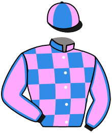 Casaque du n°9 — KING OCTOPUS
