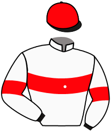 Casaque du n°3 — KONFINER