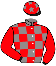 Casaque du n°7 — ROI DANAOS