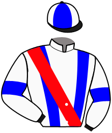 Casaque du n°10 — KADA LATROBE