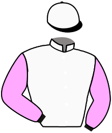Casaque du n°4 — NORTIA