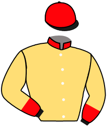 Casaque du n°3 — TENUTA