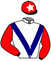 Casaque du n°8 — MONTALTE