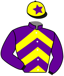 Casaque du n°6 — LUMINO BELLO