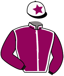 Casaque du n°2 — WESTMINSTER COYOTE