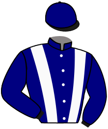 Casaque du n°2 — KARLOVSKY