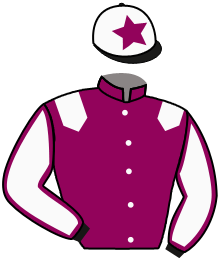 Casaque du n°3 — DIAMANTE