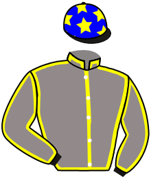 Casaque du n°1 — EMPRESA