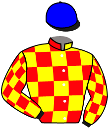 Casaque du n°6 — AMIGUITO PILLO