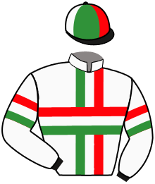 Casaque du n°7 — IS FAST