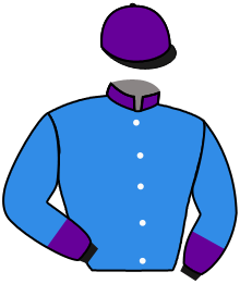 Casaque du n°7 — LOS TRENES