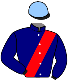 Casaque du n°10 — QUINTUS TOOMA