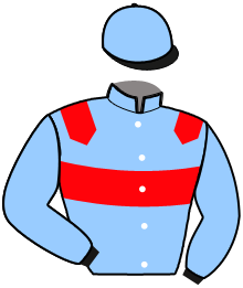 Casaque du n°1 — MAJOR DE TIMM