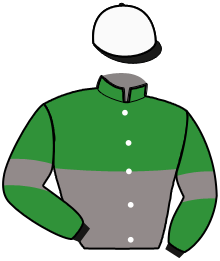 Casaque du n°4 — IRISH NICE ELGE