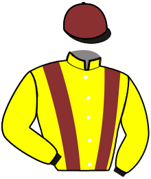 Casaque du n°9 — NOBLESKA