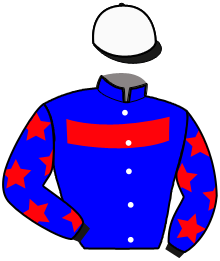 Casaque du n°4 — UPPERSTAR