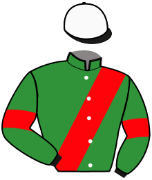 Casaque du n°1 — MIRAGE DRAGON