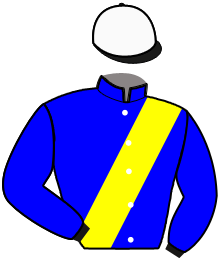 Casaque du n°8 — RAPIDO BELLO